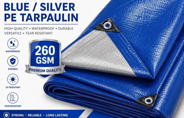 BS60_BLUE / SILVER 13*19 FT